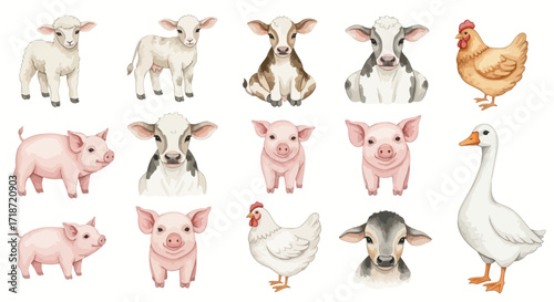 Delightful watercolor farm animal collection, a clip art set of sweet lambs, calves, piglets, hens, and geese