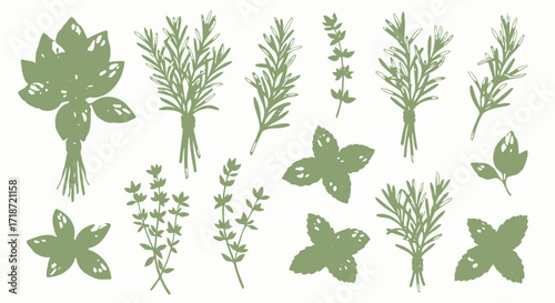 Fresh Herb Collection Rosemary, Basil, and Thyme Watercolor Illustrations