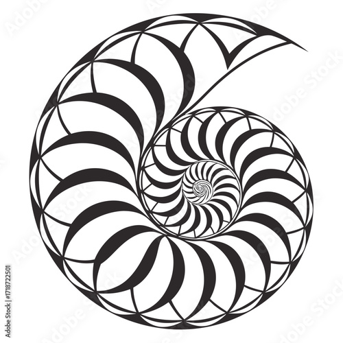Nautilus Shell Fibonacci Spiral Pattern abstract black and white