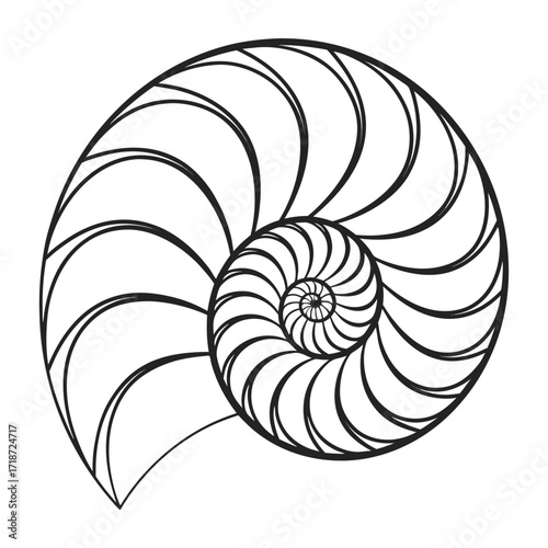 Single Black and White Nautilus Shell Spiral Outline