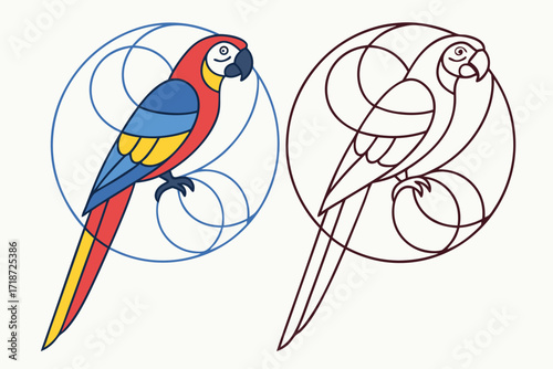 Colorful Macaw and Geometric Outline Parrot Keywords: parrot, macaw, bird, colorful, blue, red