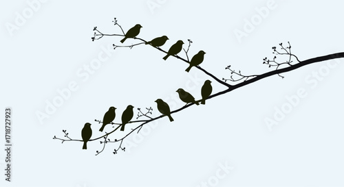Birds on a Branch Silhouette, Sparrows Sitting on Tree Branch, Minimalist Nature Illustration