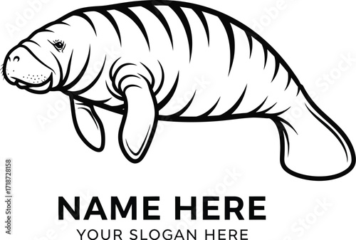 Manatee vector drawing sea cow illustration marine mammal icon vector