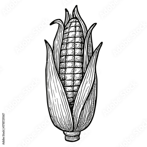 Corn