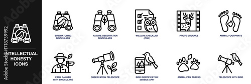 Wildlife Observation Line Icon Set