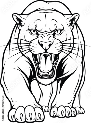 Illustration of angry panther drawing vector mascot design art