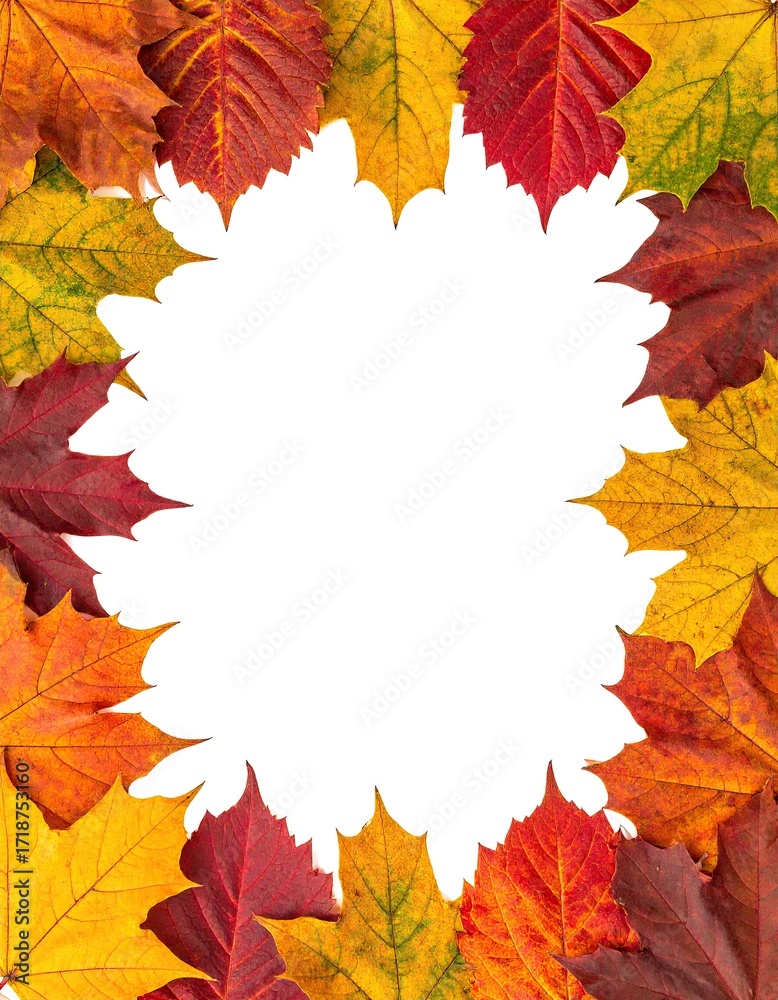 Fototapeta premium Autumn leaves frame on white background