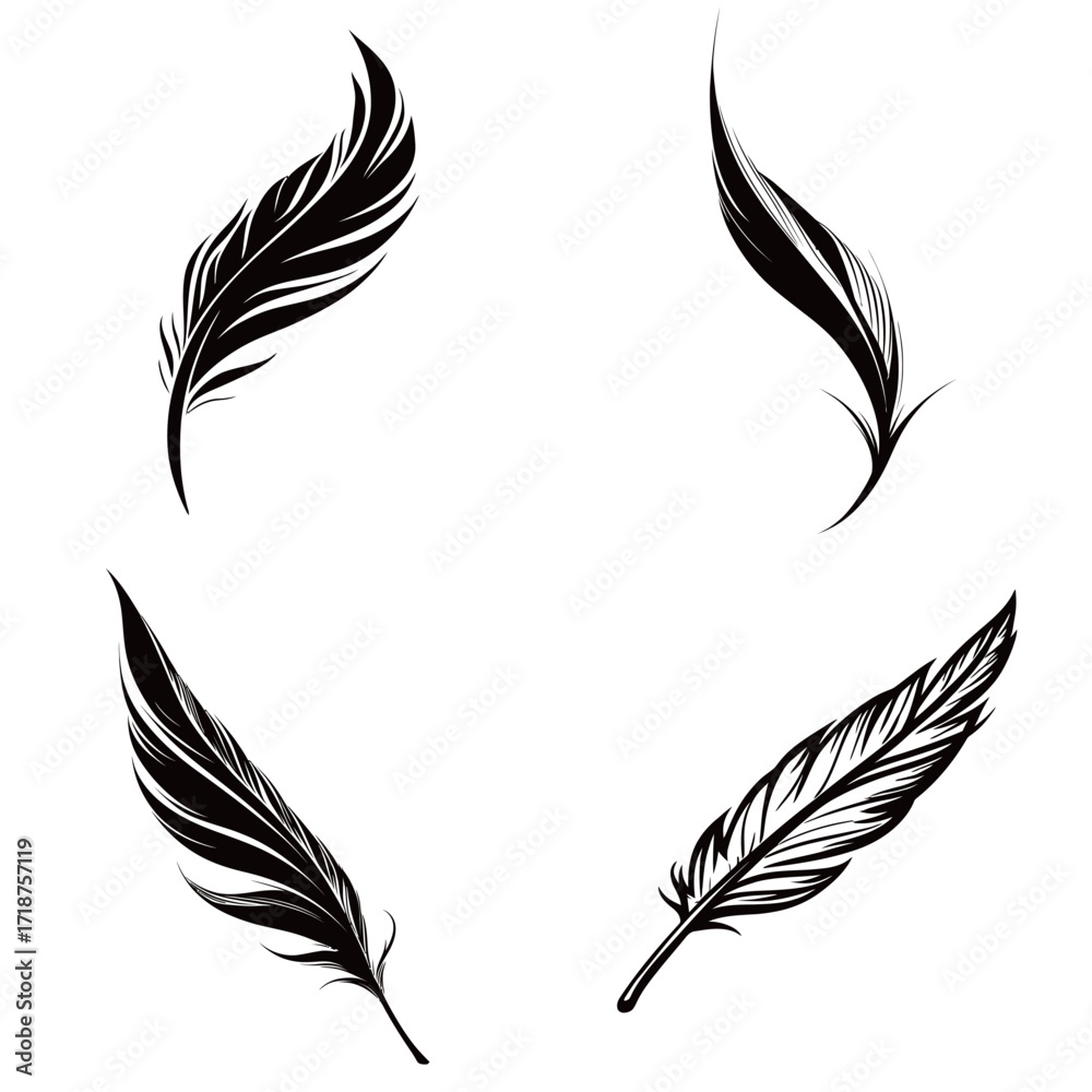 Obraz premium Four detailed black feathers are artistically arranged in a circular pattern, showcasing their graceful shapes and textures. These feathers can enhance various creative projects.