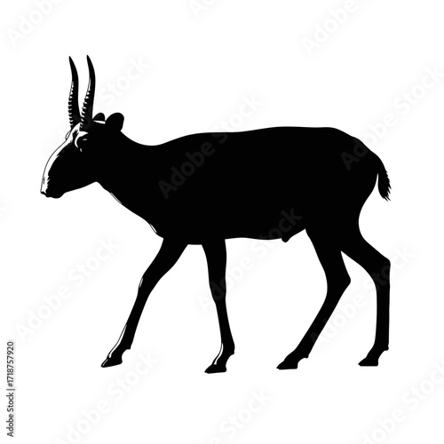 Saiga antelope walking silhouette isolated on white background