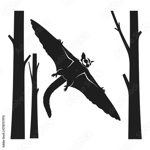 Flying sugar glider silhouette between trees isolated on white background