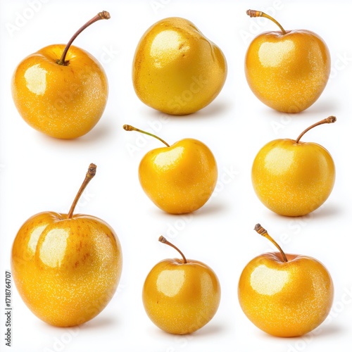 Metallic golden cherry/plum bossom/flowers for Chinese New Year. 