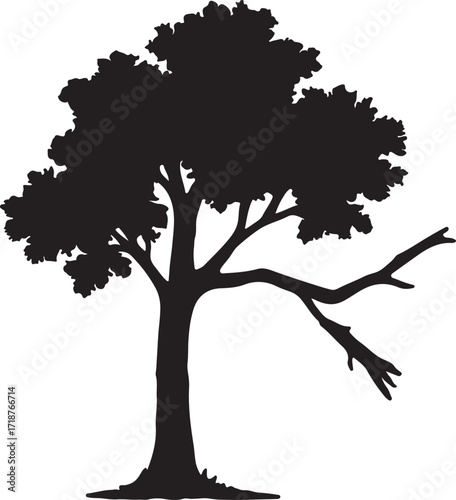 Dramatic silhouette of a solitary tree with a broken branch suspended mid air evoking a vintage melancholic mood isolated on white background