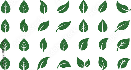 Green leaf vector illustration set, eco nature symbols, organic leaf design icons, botanical foliage, natural environment graphics, eco friendly design