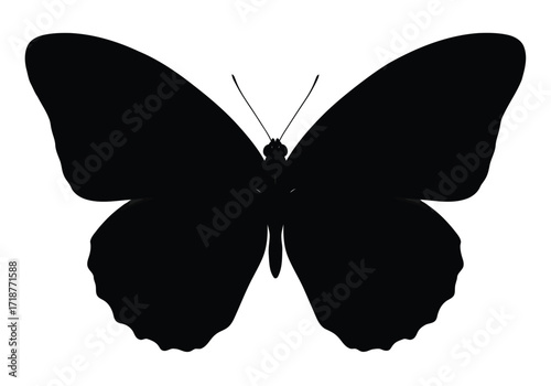Vector illustration of illustration of black butterfly silhouette