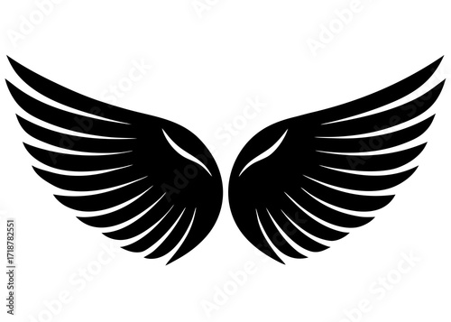black wings