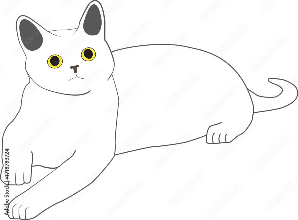 Naklejka premium white cat vector icon illustration