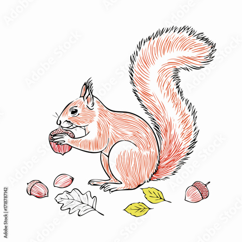 Charming illustration of a curious red squirrel delicately clutching an acorn, surrounded by colorful fallen autumn leaves, evoking the cozy atmosphere of a forest