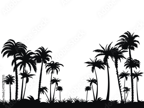 Vector Silhouettes of Coconut trees isolated on transparent background

