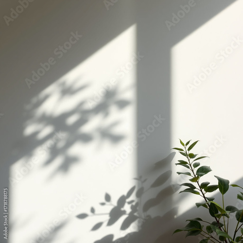 Minimalistic abstract light grey wall background for product presentation with sunlight shadow of plant leaves