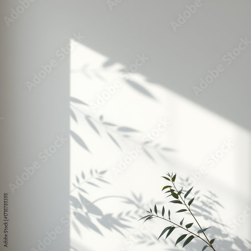 Minimalistic abstract light grey wall background for product presentation with sunlight shadow of plant leaves