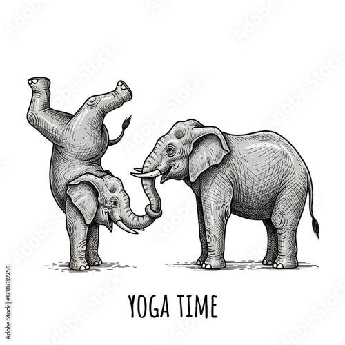 Elephants Doing Yoga Illustration
