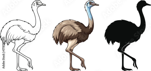Rhea in outline, color, and silhouette illustration