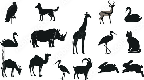 Vector animal silhouettes collection wildlife illustration art