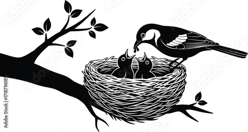 Vector illustration of bird feeding babies in nest on branch