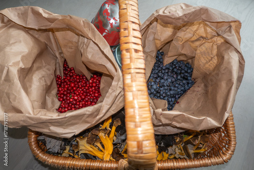 Stockholm, Sweden A basket filled with freshly picked blueberries, lingonberries, and chanterelle mushrooms from the forest.