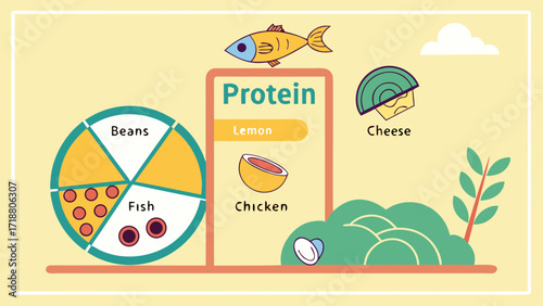 Illustration of protein sources and food groups