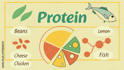 Protein sources and nutritional information
