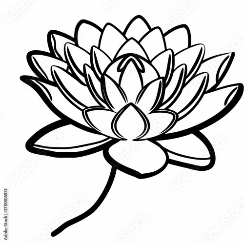 Elegant black and white line art illustration of a blooming water lily flower with a long stem isolated on a white background