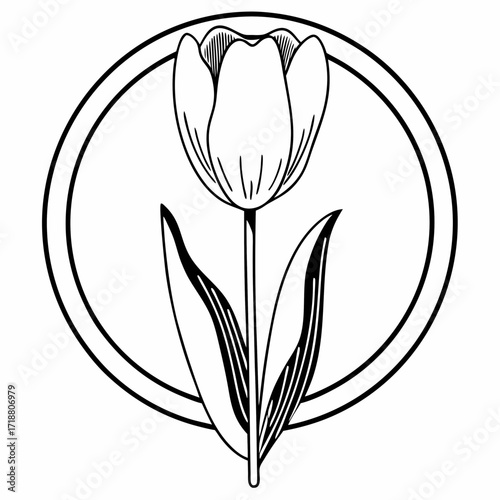 Elegant black and white line art illustration of a single tulip flower with leaves enclosed within a circular frame perfect for graphic design and decorative elements