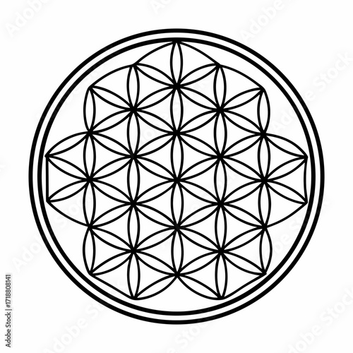Sacred geometry flower of life symbol in black outline on white background represents universal creation and interconnectedness
