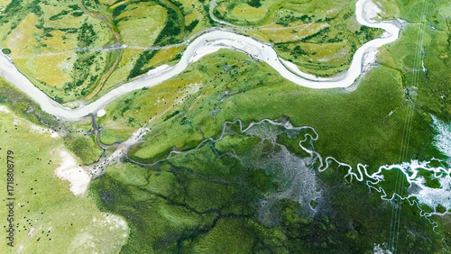 aerial view of river in wetland