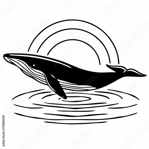 Stylized black and white illustration of a humpback whale breaching from water with abstract rainbow arcs above its body