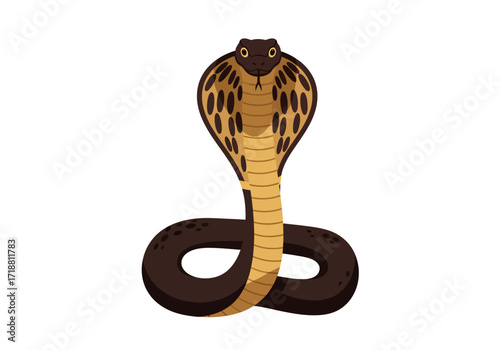 Cobra snake with raised hood tancolored body and dark brown details against a white background