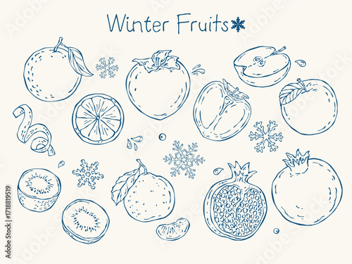 Hand-drawn vector set of winter fruits including orange, mandarin, persimmon, apple, pomegranate and kiwi. Minimal line doodle style for seasonal menu, packaging, food design and illustrations