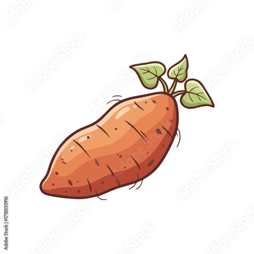 Sweet potato on white background
