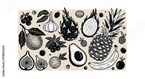 Discover a vibrant collection of hand-drawn exotic fruits and berries, perfect for healthy eating and organic food branding projects.