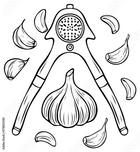 Garlic bulb and cloves with a manual press tool in a simple line drawing style
