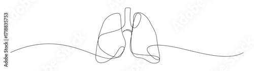 Single Line Drawing of Lungs, Anatomical Illustration