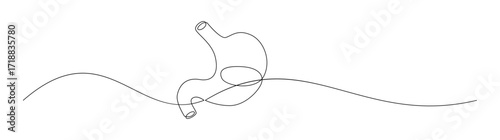 Continuous Line Drawing of Human Stomach Anatomy