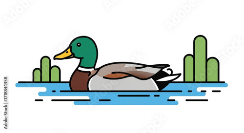 A cartoon mallard duck swims on blue water with green plants in the background, depicted in a flat, minimalist style.