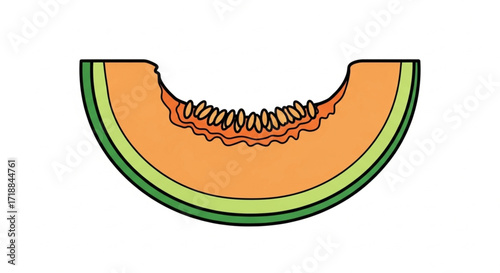 A vibrant illustration of a cantaloupe slice, showcasing its juicy orange flesh and green rind.