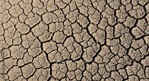 Dry cracked earth surface pattern arid landscape