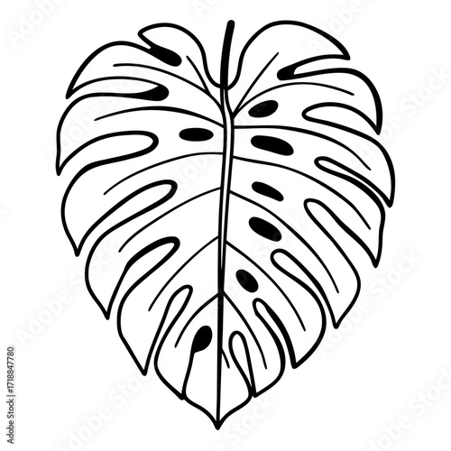 A simple black and white line drawing of a monstera leaf with characteristic holes and splits isolated on a white background