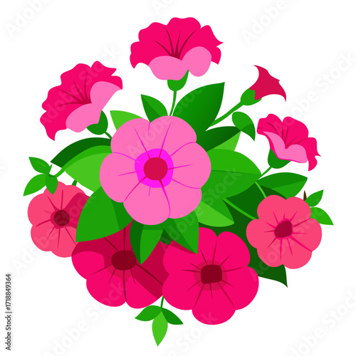 Vibrant pink petunias, lush spherical flowers and green leaf vector on white background.