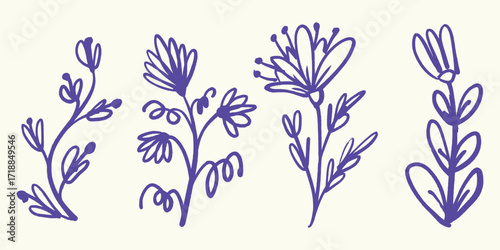 Italian style Botanical Flower Stems hand drawn vector illustrations in grunge chalk or charcoal rough doodle sketch style.