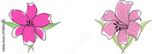 Flat seamless pattern with lily flower Purple Hand Draw Vector Ilustration - minimalist style